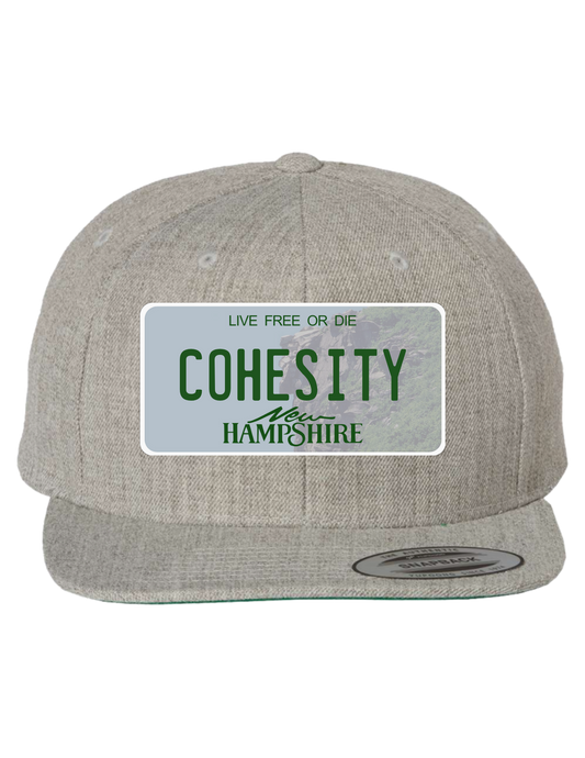 Cohesity New Hampshire Premium Trucker Hat