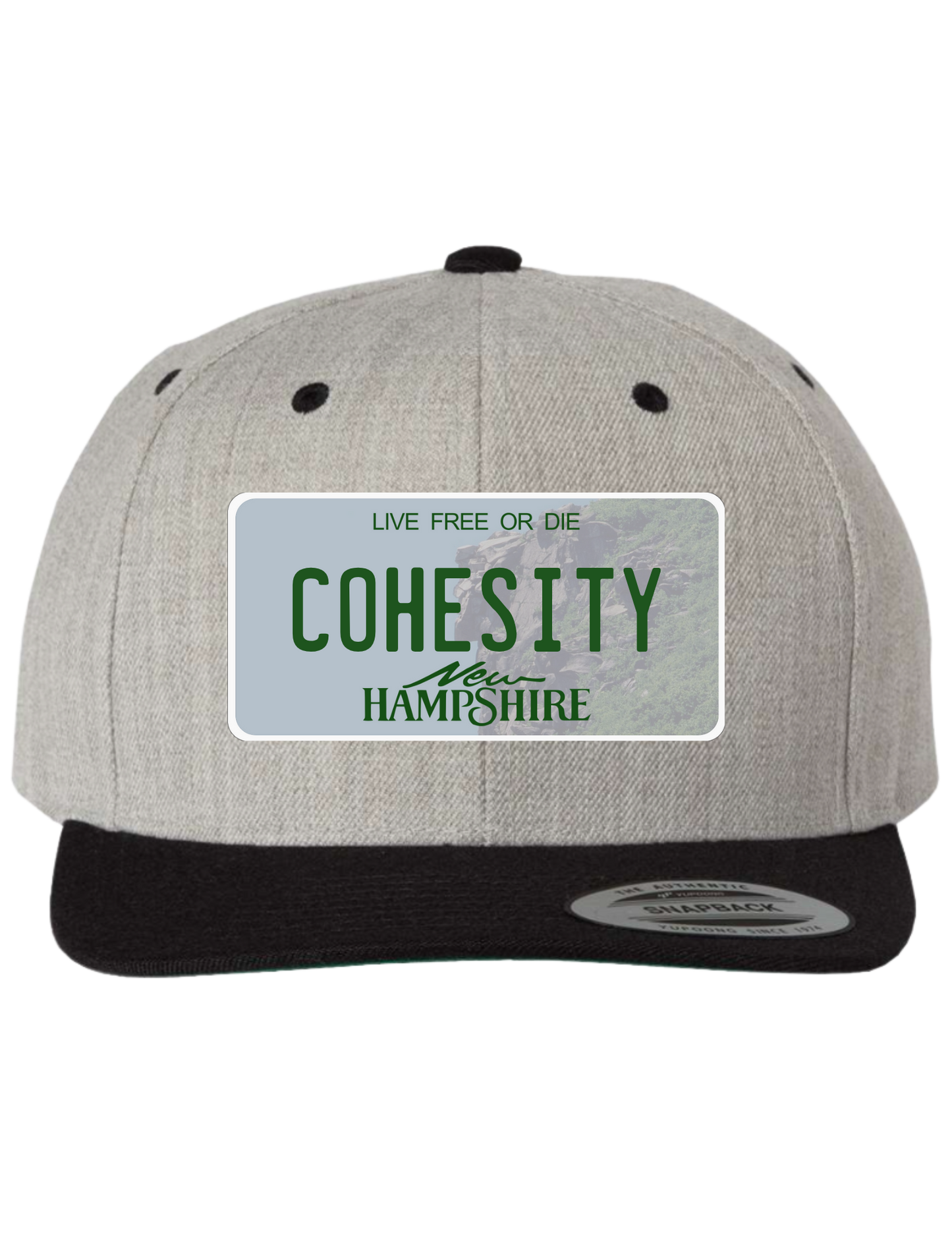Cohesity New Hampshire Premium Trucker Hat