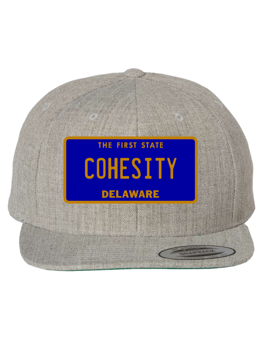 Cohesity Delaware Premium Trucker Hat
