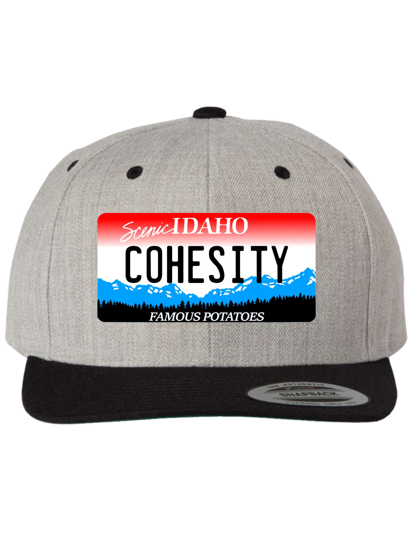 Cohesity Idaho Premium Trucker Hat
