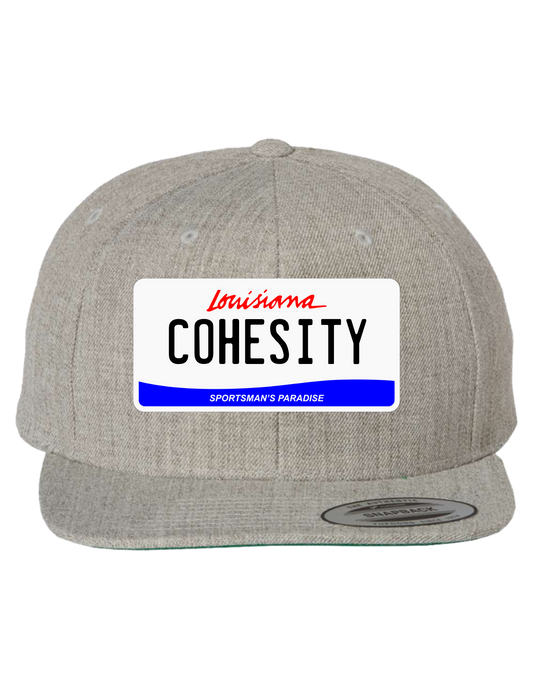 Cohesity Louisiana Premium Trucker Hat