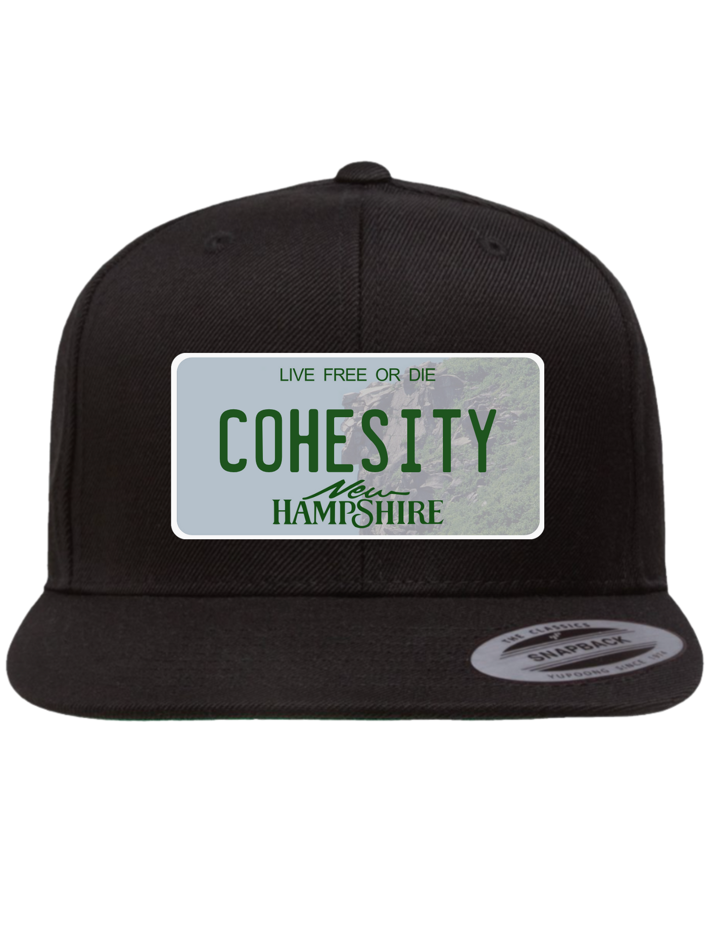 Cohesity New Hampshire Premium Trucker Hat