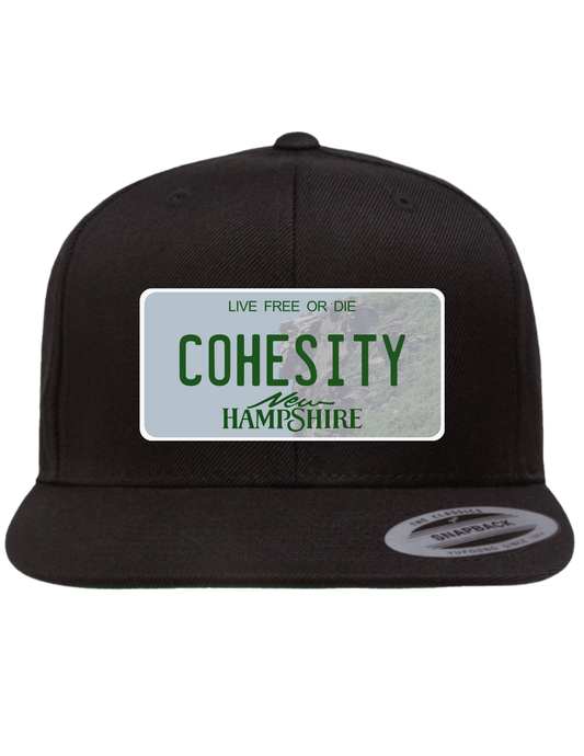 Cohesity New Hampshire Premium Trucker Hat