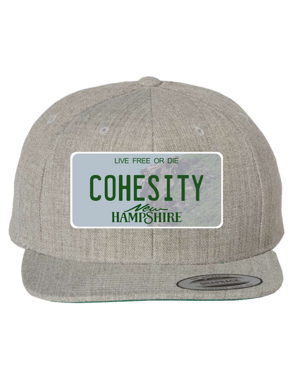 Cohesity New Hampshire Premium Trucker Hat
