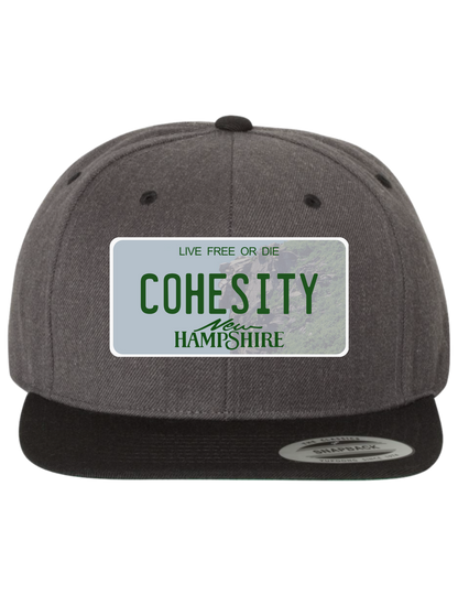 Cohesity New Hampshire Premium Trucker Hat