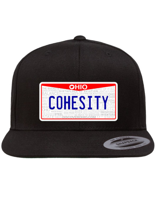 Cohesity Ohio Premium Trucker Hat