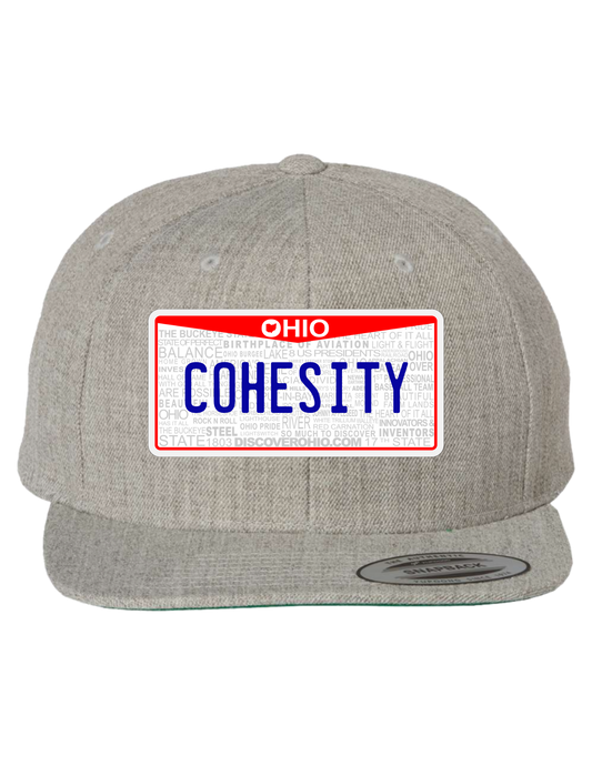 Cohesity Ohio Premium Trucker Hat