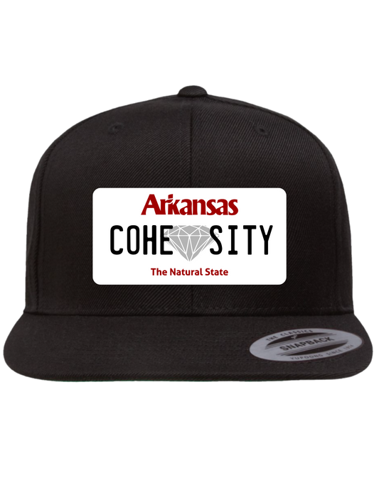 Cohesity Arkansas Premium Trucker Hat