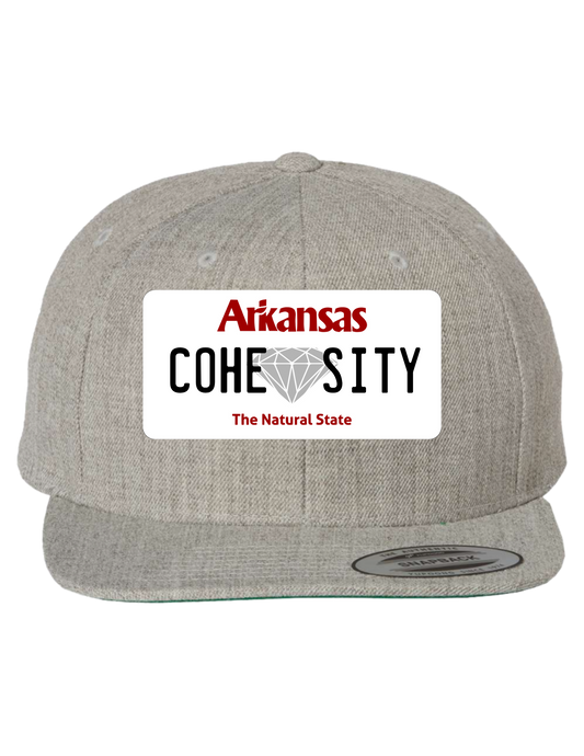 Cohesity Arkansas Premium Trucker Hat