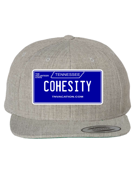Cohesity Tennessee Premium Trucker Hat