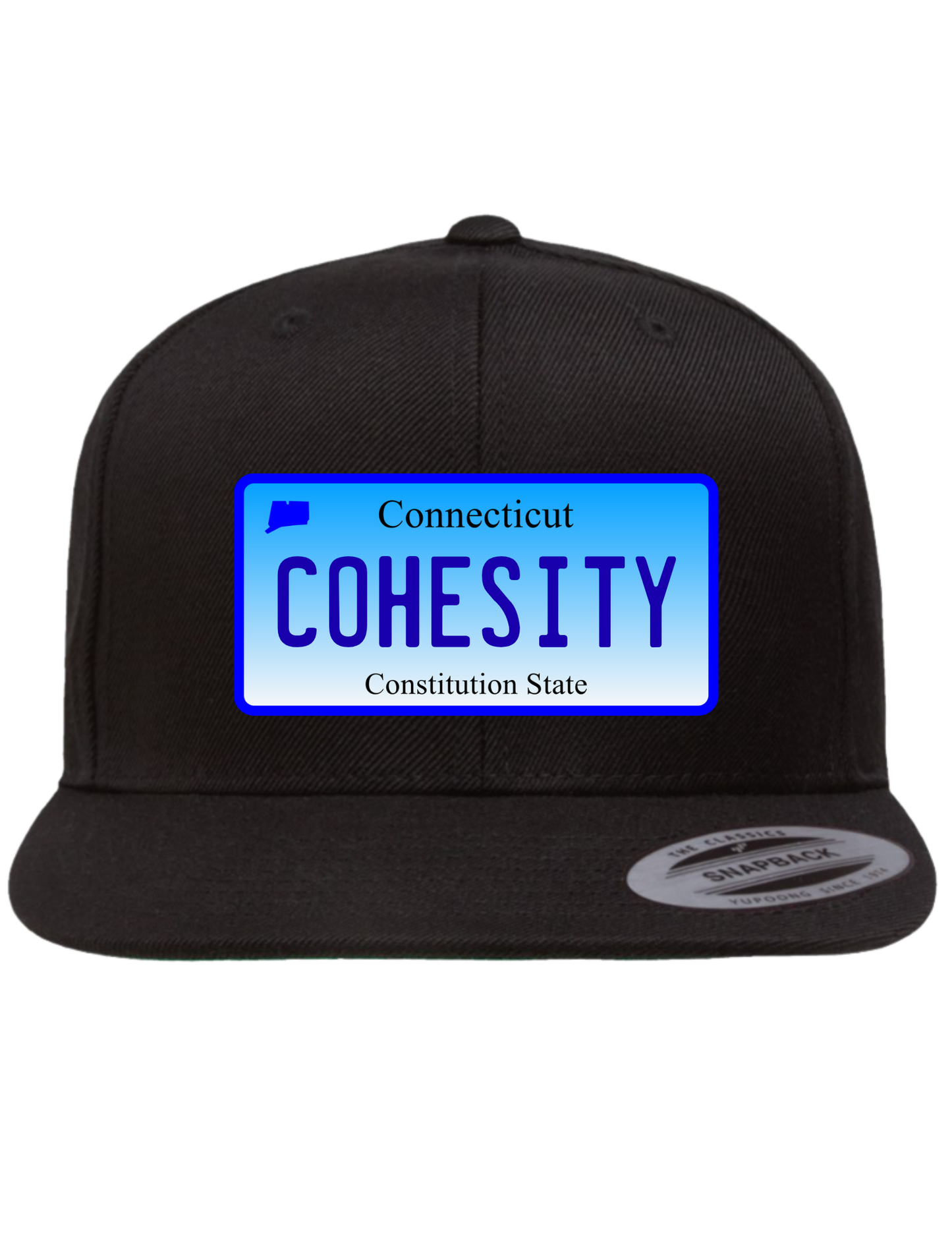 Cohesity Connecticut  Premium Trucker Hat