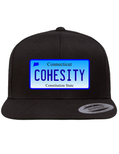 Cohesity Connecticut  Premium Trucker Hat