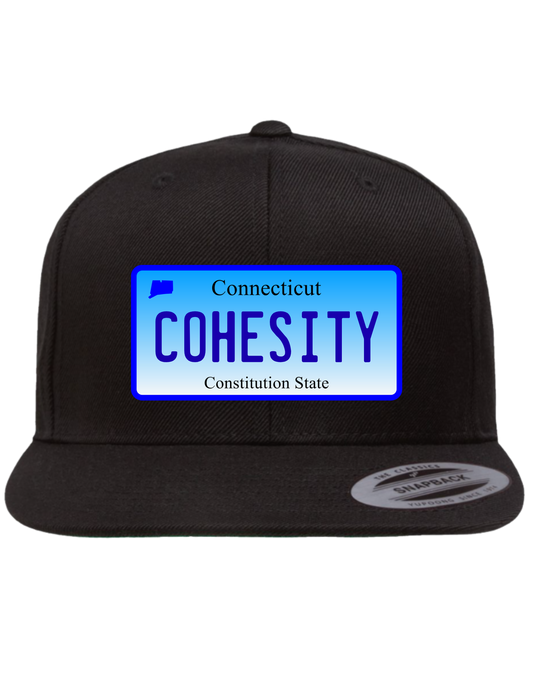Cohesity Connecticut  Premium Trucker Hat