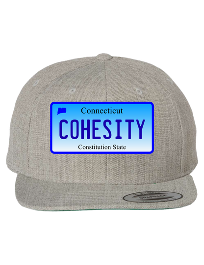 Cohesity Connecticut  Premium Trucker Hat