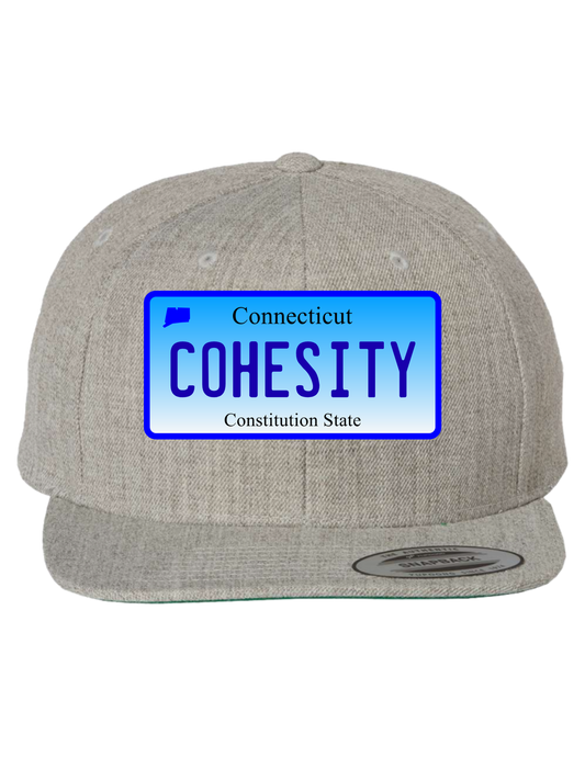 Cohesity Connecticut  Premium Trucker Hat