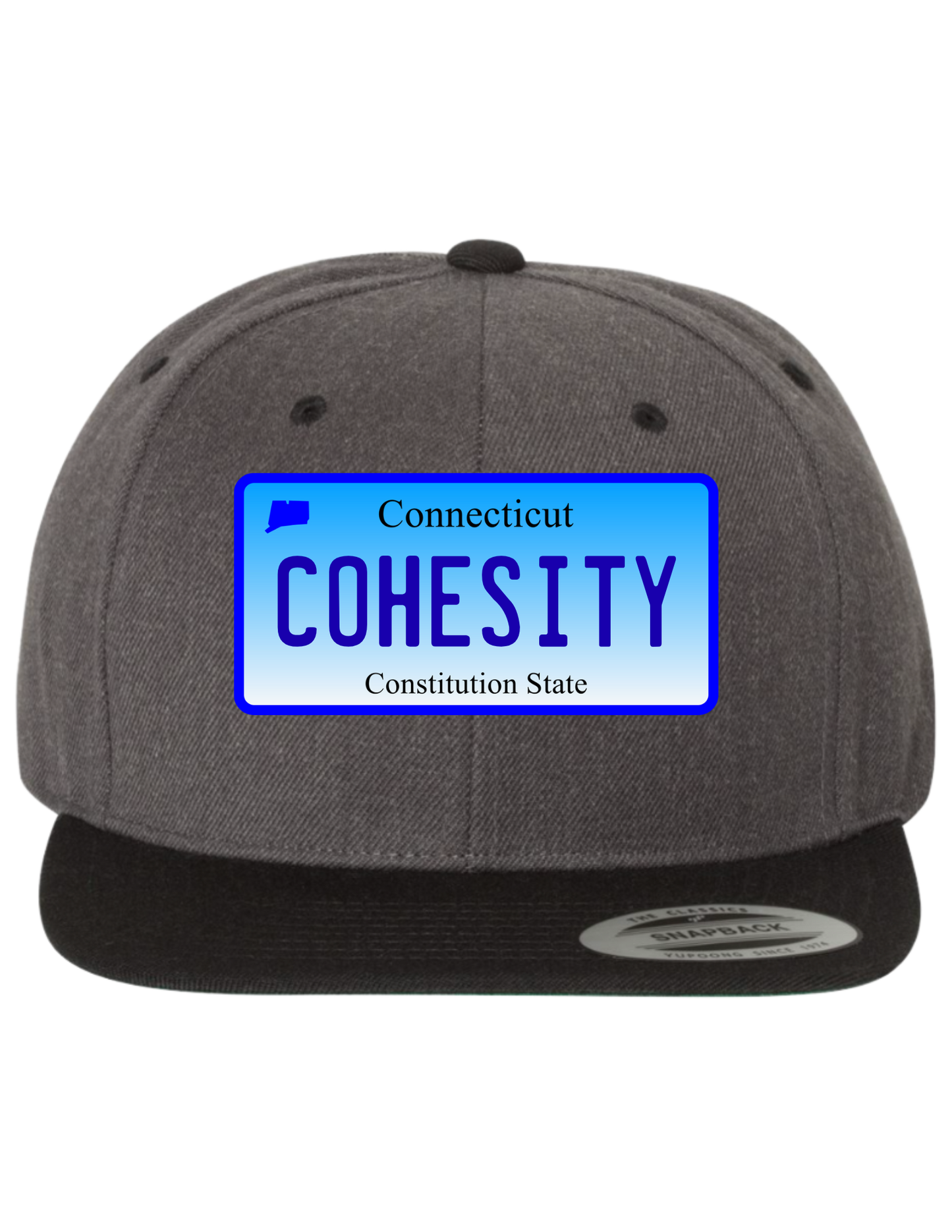 Cohesity Connecticut  Premium Trucker Hat