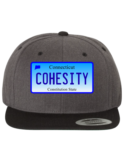 Cohesity Connecticut  Premium Trucker Hat