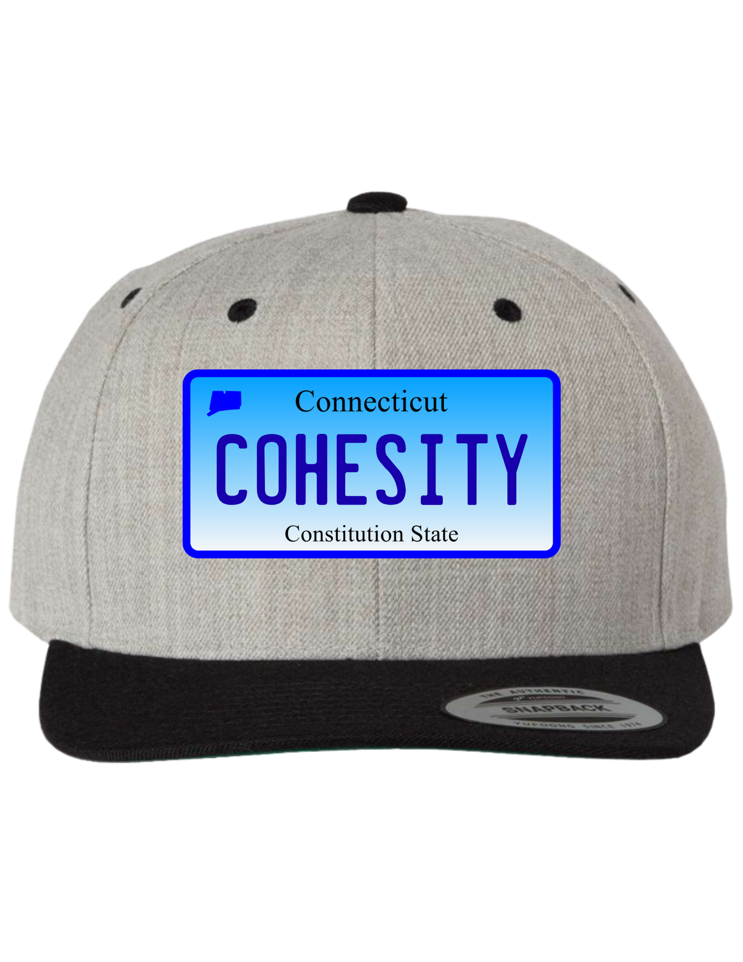 Cohesity Connecticut  Premium Trucker Hat