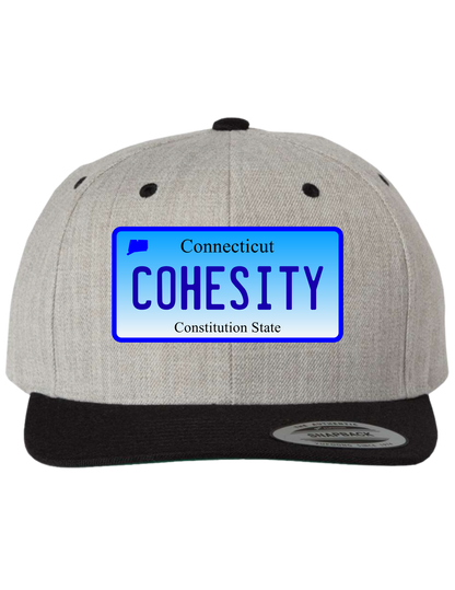 Cohesity Connecticut  Premium Trucker Hat