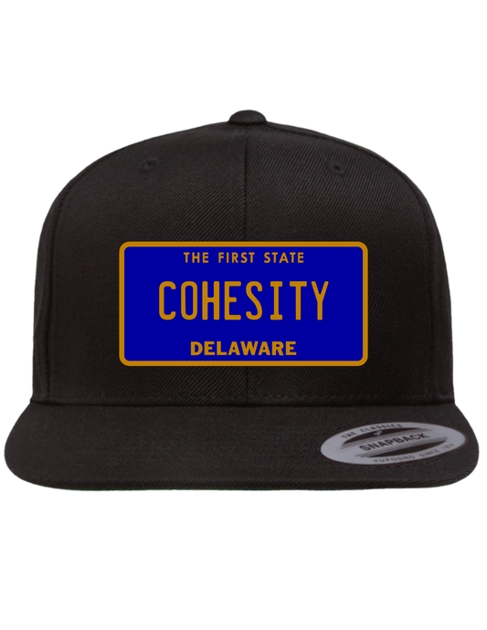 Cohesity Delaware  Premium Trucker Hat
