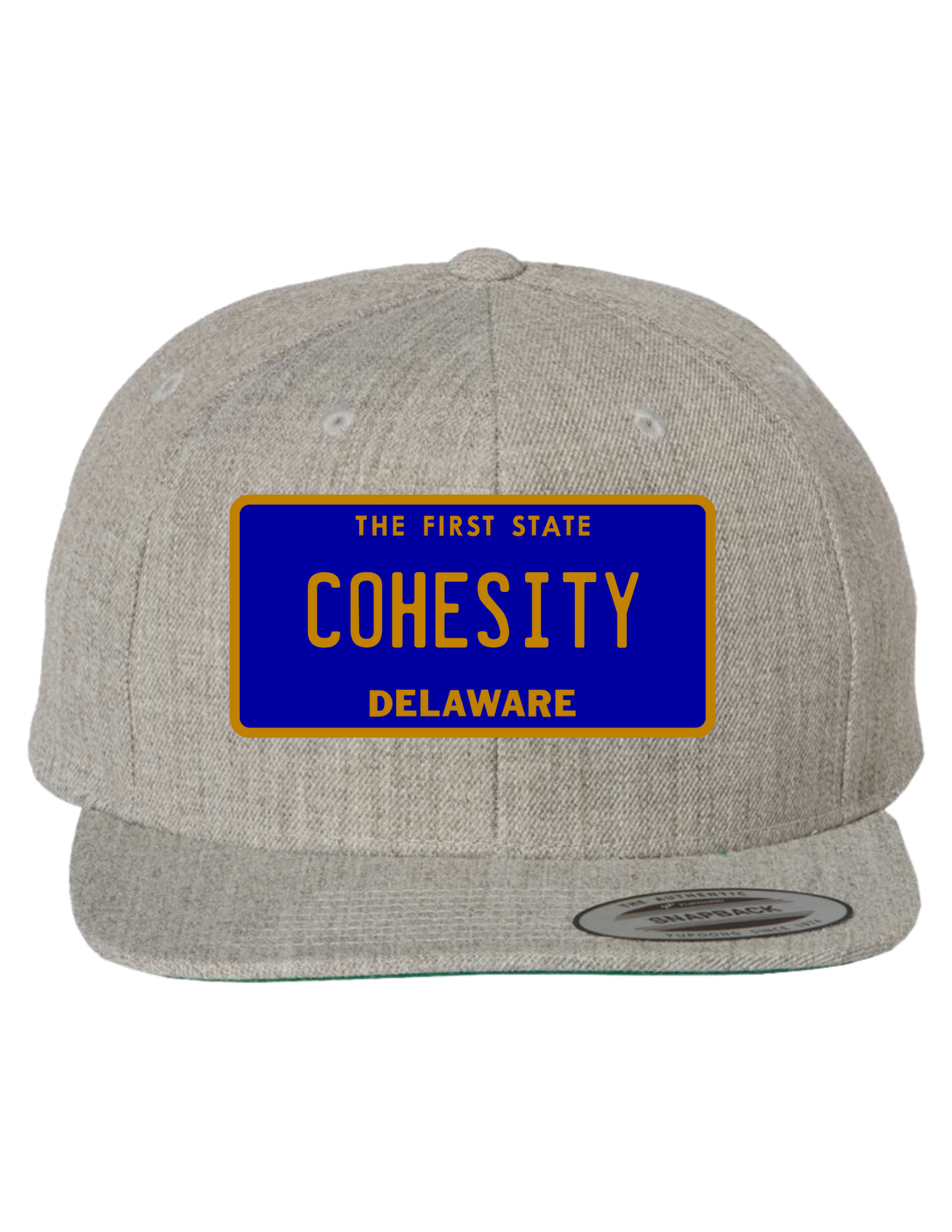 Cohesity Delaware  Premium Trucker Hat