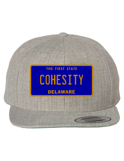 Cohesity Delaware  Premium Trucker Hat