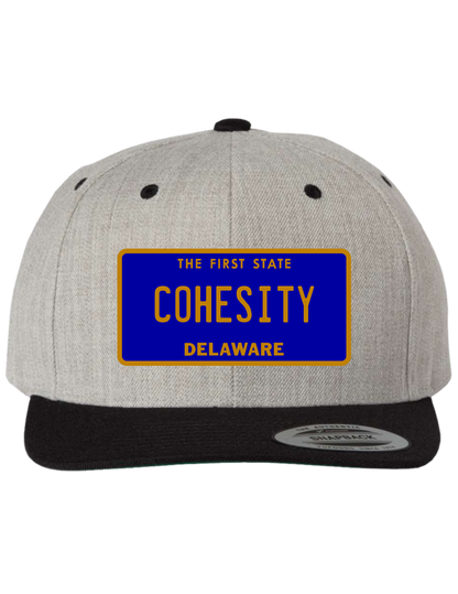 Cohesity Delaware  Premium Trucker Hat