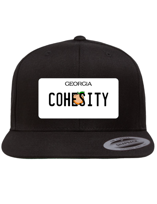Cohesity Georgia  Premium Trucker Hat