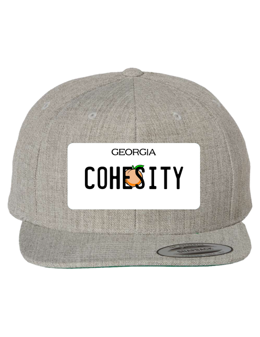Cohesity Georgia  Premium Trucker Hat