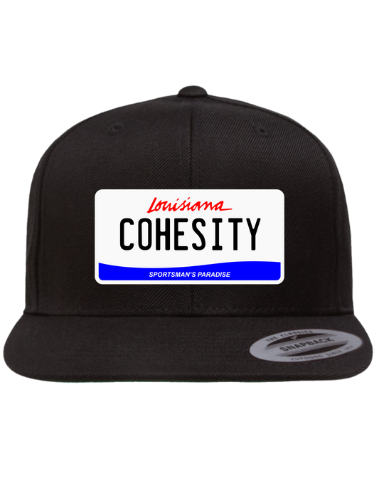 Cohesity Louisiana  Premium Trucker Hat