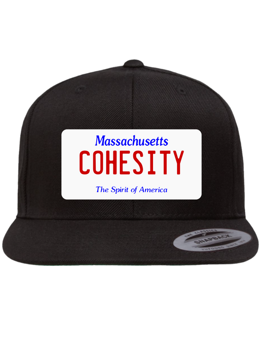 Cohesity Massachusetts Premium Trucker Hat